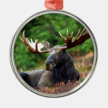 Moooose! Julgransdekorationer