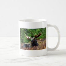 Moooose! Kaffe Muggar