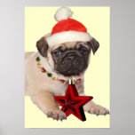 Mops ett julstjärnatryck affisch