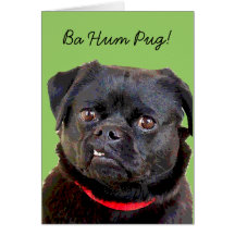 Mops för mummel för mopsHolidayCard "Ba! ", Hälsningskort