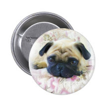 Mops knäppas nål