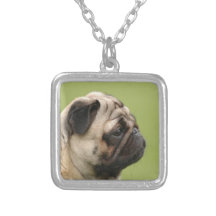 Mops Smycken