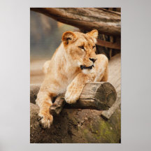 MOR AV LEJON POSTERS