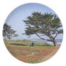 Morgonen joggar i Monterey Tallrik