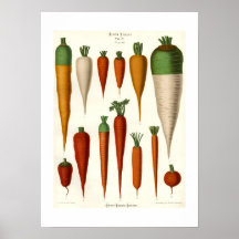 Morötter Posters