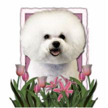 Mors dag - rosa tulpan - Bichon Frise Cut Outs