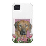 Mors dag - rosa tulpan - Rhodesian Ridgeback