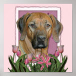 Mors dag - rosa tulpan - Rhodesian Ridgeback Posters