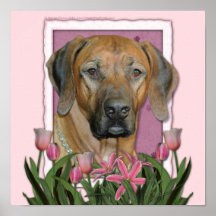 Mors dag - rosa tulpan - Rhodesian Ridgeback Posters