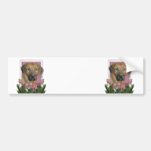 Mors dag - rosa tulpan - Rhodesian Ridgeback Bildekaler