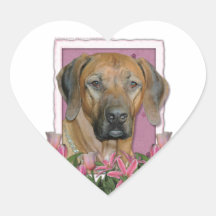 Mors dag - rosa tulpan - Rhodesian Ridgeback Hjärtformade Klistermärken