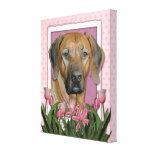 Mors dag - rosa tulpan - Rhodesian Ridgeback Kanvastryck