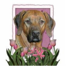Mors dag - rosa tulpan - Rhodesian Ridgeback Photo Cut Outs