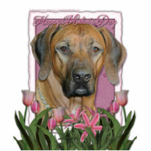 Mors dag - rosa tulpan - Rhodesian Ridgeback Photo Sculpture