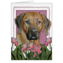 Mors dag - rosa tulpan - Rhodesian Ridgeback Hälsnings Kort