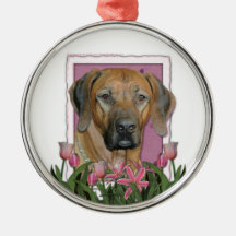 Mors dag - rosa tulpan - Rhodesian Ridgeback Julgranskula
