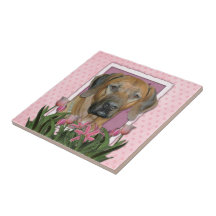 Mors dag - rosa tulpan - Rhodesian Ridgeback Keramiska Plattor