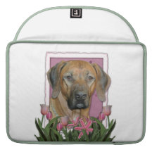 Mors dag - rosa tulpan - Rhodesian Ridgeback Sleeves För MacBook Pro