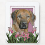 Mors dag - rosa tulpan - Rhodesian Ridgeback Mus Mattor