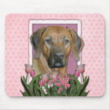 Mors dag - rosa tulpan - Rhodesian Ridgeback Musmattor
