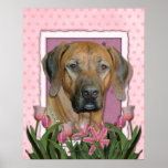 Mors dag - rosa tulpan - Rhodesian Ridgeback Print
