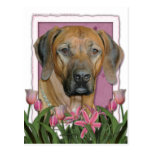 Mors dag - rosa tulpan - Rhodesian Ridgeback Vykort