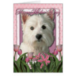 Mors dag - rosa tulpan - västra höglands- Terrier Hälsnings Kort