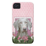 Mors dag - rosa tulpan - Weimaraner - guldögon iPhone 4 Case-Mate Cases