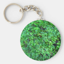 moss på sten nyckel ring