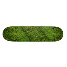 Moss Skateboards