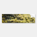 Mossy grönt bildekaler
