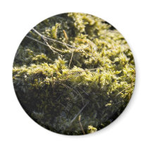 Mossy grönt magneter