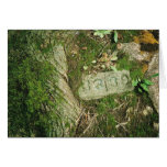 Mossy Kort