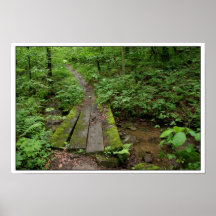 Mossy (uv) Bridge~Gold Matte tryck, Print