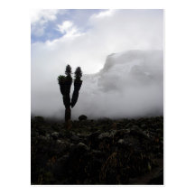 Mount Kilimanjaro (porträtt) Vykort