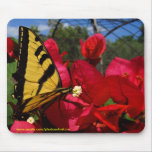 Mousepad - Butterlfly som suger på en blomma musmattor