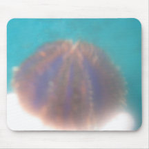Mousepad för Maui havsliv Mus Matta