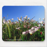 Mousepad - Kalifornien vildblommar musmattor