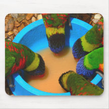 Mousepad Lorikeets Musmattor