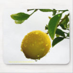 Mousepad - våt citron i regna musmattor