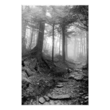 Mt. Leconte Fotografiskt Tryck