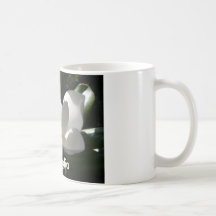 mugg för kaffe för magnoliablomsterfotografifoto