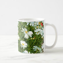 Mugg för Shasta daisy