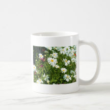 Mugg för Shasta daisy