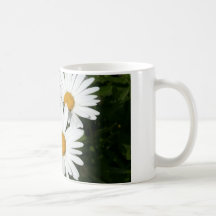 Mugg för Shasta daisy