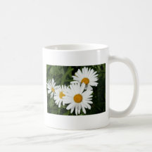 Mugg för Shasta daisy