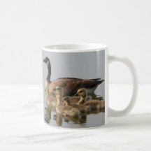 Mugg/Lesser Kanada gåsbarnaskara