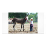 muleshow i wooforden ky 024 anpassade foto kort