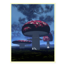 Mushroomz Vykort