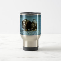 Muskoxar Mugg